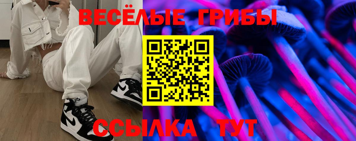 Псилоцибиновые грибы Cubensis  Вход с VPN  Сызрань  Псилоцибиновые грибы прущие грибы 